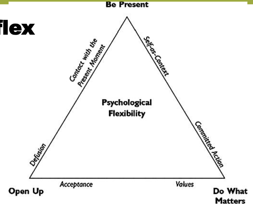 <p>Acceptance and Commitment Therapy (ACT)</p>