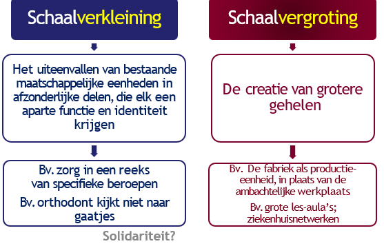 <ol><li><p>iedereen is opgesplitst (orhtodont vult geen gaatjes)</p></li><li><p>alles wordt samengebracht (1 les voor iedereen)</p></li></ol><p></p>