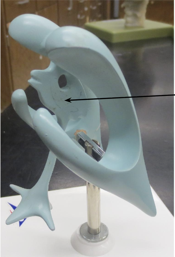 <p>What is this?</p>