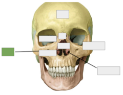 <p>This is the</p>