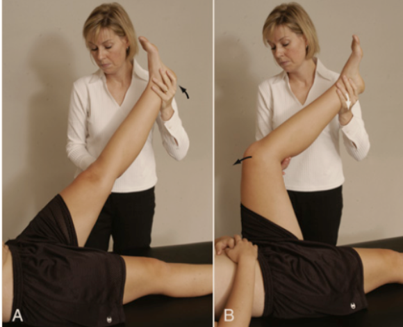 <p><strong>Sign of the Buttock Test</strong> </p><ul><li><p><strong>Purpose:</strong> Assesses for <strong>serious buttock pathology</strong> (non-capsular hip lesion).</p></li><li><p><strong>How:</strong> Perform a <strong>Straight Leg Raise (SLR)</strong>. If pain or restriction occurs, <strong>flex the knee</strong> while maintaining the hip position, then attempt to <strong>flex the hip further</strong>.</p></li><li><p><strong>Positive:</strong> <strong>Hip flexion does not increase when the knee is flexed</strong>, indicating <strong>pathology in the buttock</strong> (e.g., <strong>bursitis, tumor, or abscess</strong>) and a <strong>non-capsular pattern of the hip</strong>.</p></li></ul><p></p>