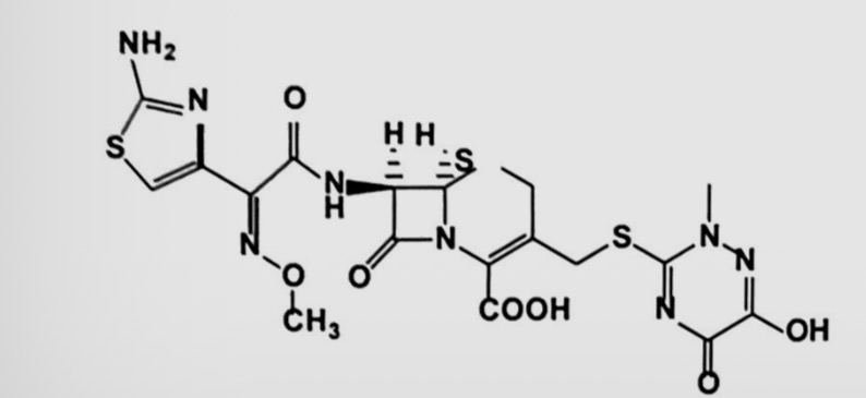 <p>Classe thérapeutique et impact de l’Oxime sur l’activité et le spectre d’action de la molécule ?</p><p></p>