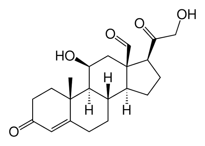 <p>Important in cell membrane and Vitamin D formation</p><ul><li><p>cholesterol</p></li><li><p>Important hormones (testosterone, estrogen)</p></li></ul><p>require carriers in bloodstream (lipoproteins) bc nonpolar</p><p>3 6-C rings + 1 5-C ring</p>