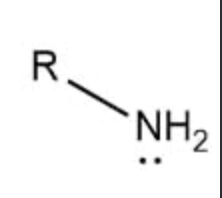 <p>Acts as a base. Found on every amino acid</p>