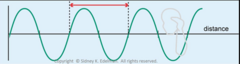 <p>the length of one cycle</p>