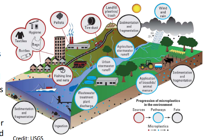 <p>Sources: land-based (urban runoff, rivers, wastewater treatment, agriculture) and sea-based (fishing, shipping). ~80% terrestrial, ~20% marine. </p><p>Transport: rivers → coast → shelf currents and waves → canyon heads → turbidity currents carry them downslope → thermohaline/bottom currents redistribute along seafloor. Also atmospheric deposition and vertical settling. </p><p>Deposition: contourite drifts are major hotspots; also submarine fans, trenches, abyssal plains. </p><p>Total seafloor estimate ~3 million tonnes.</p>