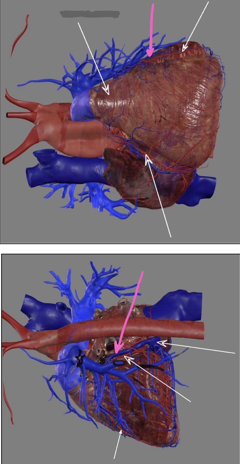 <p>What’s the highlighted area?</p>