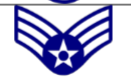 <p>E-4; 3 chevrons above a star</p>