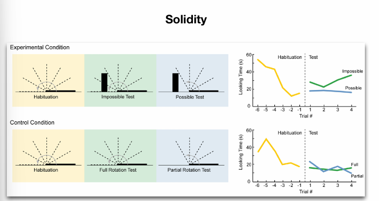 <p>vb</p><p>valt door plank heen = onmogelijk, kijkt daar dus langer naar</p><p>possible = tegenaan</p>