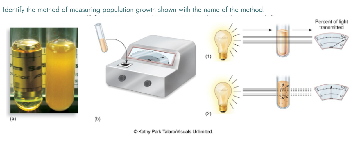 <p>degree of cloudiness; reflects the relative population size</p>