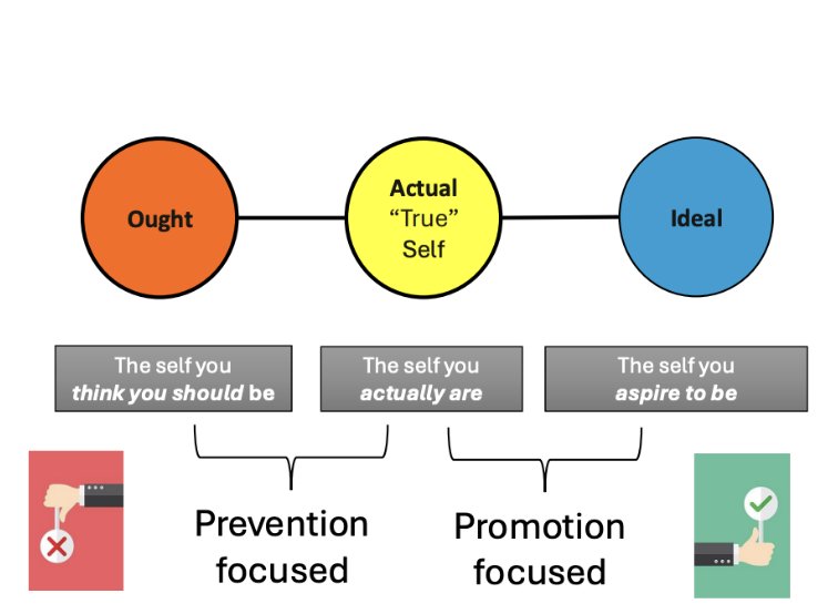 <ul><li><p>Self-discrepancy theory is a theory that behaviour is motivated by standards reflecting ideal and ought selves, falling short of these standards elicits specific emotions &amp; may lead to efforts to get closer to them </p></li></ul><p></p><p><strong><mark data-color="blue" style="background-color: blue; color: inherit;">Ought Self</mark></strong></p><ul><li><p>The self you think you should be</p></li><li><p>(concerned with the duties, obligations &amp; external demands people feel they are compelled to honour) </p></li></ul><p></p><p><strong><mark data-color="blue" style="background-color: blue; color: inherit;">Actual Self “True Self”</mark></strong></p><ul><li><p>The self you actually are</p></li></ul><p></p><p><strong><mark data-color="blue" style="background-color: blue; color: inherit;">Ideal Self</mark></strong></p><ul><li><p>The self you aspire to be </p></li><li><p>(embodies people’s wishes &amp; aspirations)</p></li></ul><p></p><ul><li><p>According to this theory, ideal &amp; ought selves serve as self-guides, motivating people to regulate their behaviours in order to close to gap between their actual self and their ideal and ought standards</p></li></ul><p></p><ul><li><p><span style="background-color: transparent;">When people pursuing goals to become ideal self, research shows focused on<strong> Promotion</strong></span></p><ul><li><p><span style="background-color: transparent;">Seeking out and obtaining certain goals</span></p></li><li><p><span style="background-color: transparent;">approach/promotion focused</span></p></li><li><p><span style="background-color: transparent;">Obtain positive outcomes to obtain ideal self</span></p></li><li><p><span style="background-color: transparent;">Promotion focus: self regulation of behaviour with respect to ideal self-standards, a focus on attaining positive outcomes through approach related behaviours</span></p></li><li><p><span style="background-color: transparent;">People from individualistic more likely to have promotion focus, attaining personal goals</span></p></li></ul></li></ul><p></p><ul><li><p><span style="background-color: transparent;">Ought self</span></p><ul><li><p><span style="background-color: transparent;">prevention/avoidant</span></p></li><li><p><span style="background-color: transparent;">Avoid negative outcome</span></p></li><li><p><span style="background-color: transparent;">If i think i ought to keep you here for 3 hours, avoid letting you leave early, extra lecture</span></p></li><li><p><span style="background-color: transparent;">Get in way of ought self, type of prof i should be</span></p></li><li><p><span style="background-color: transparent;">When people regulate their behaviour with respect to ought self standards they have a prevention focus: a focus on avoiding negative outcomes (such as being a bad grand-daughter)</span></p></li><li><p><span style="background-color: transparent;">People from interdependent cultures more likely to exhibit prevention focus: concerned with the possible negative consequences of their actions &amp; how that might affect relations with others</span></p></li></ul></li></ul><p><br></p><ul><li><p><span style="background-color: transparent;">Ideal self promotion</span></p></li><li><p><span style="background-color: transparent;">Prevention focused, vigilant for ought self</span></p></li><li><p><span style="background-color: transparent;">Sometimes have discerptancy between 3 selves</span></p></li></ul><p><br></p>