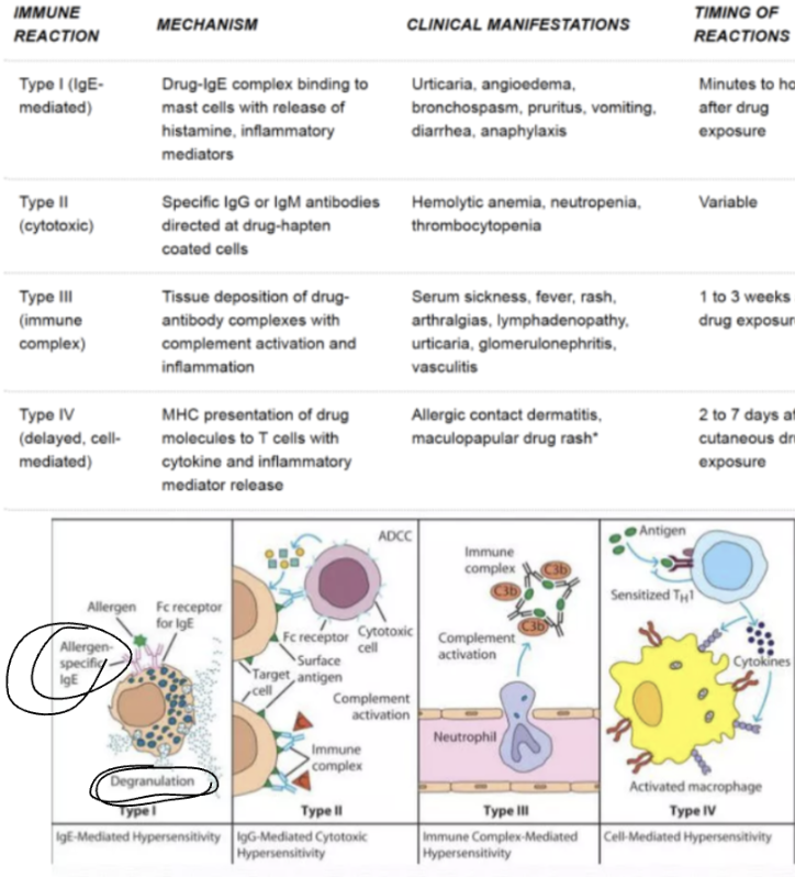 <p><span style="background-color: transparent;"><strong>Gell-Coombs Classification of Hypersensitivity Reactions</strong></span></p>