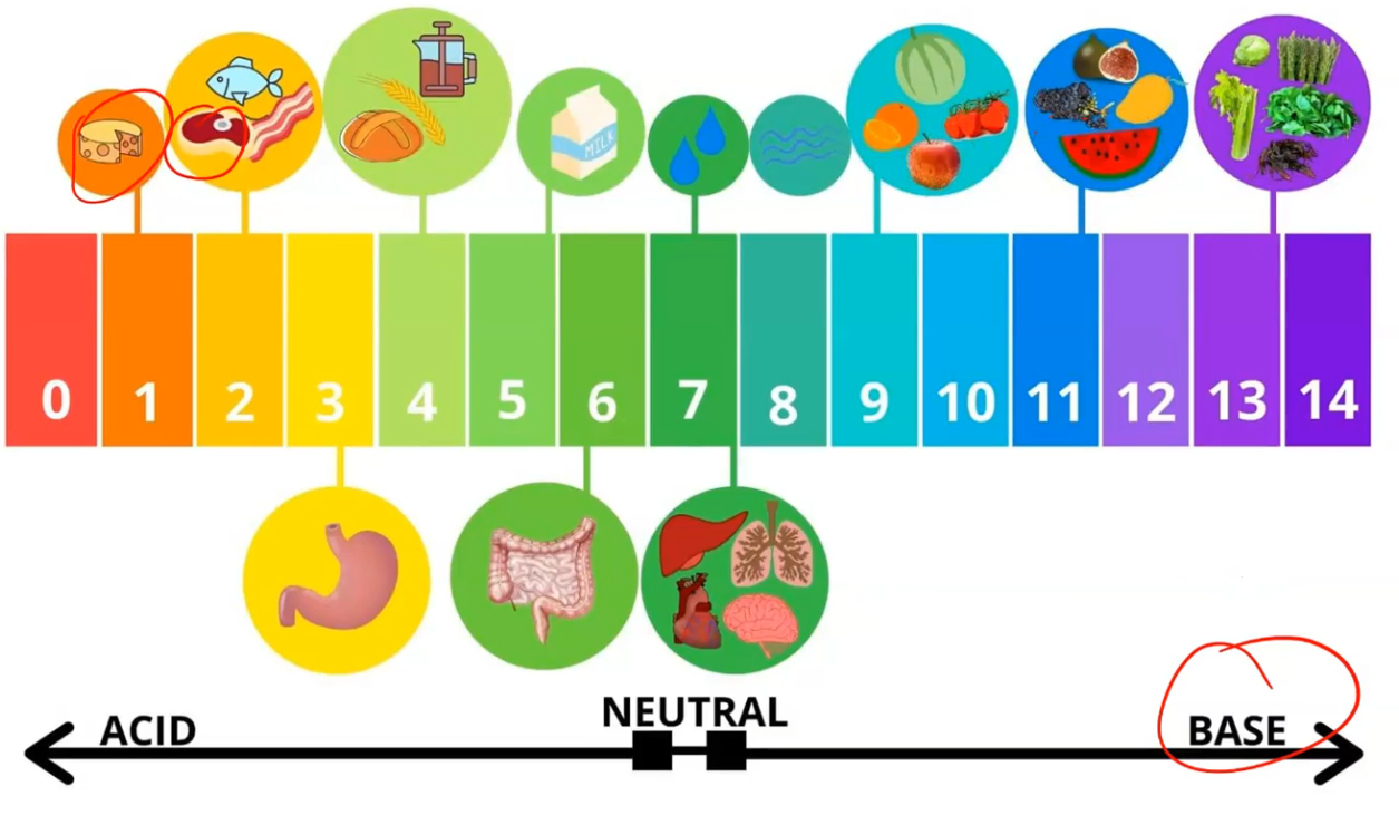 <ul><li><p>Range = 0–14</p></li><li><p>7 = neutral</p></li><li><p>Below 7 = acidic</p></li><li><p>Above 7 = basic/alkaline</p></li></ul><p></p>