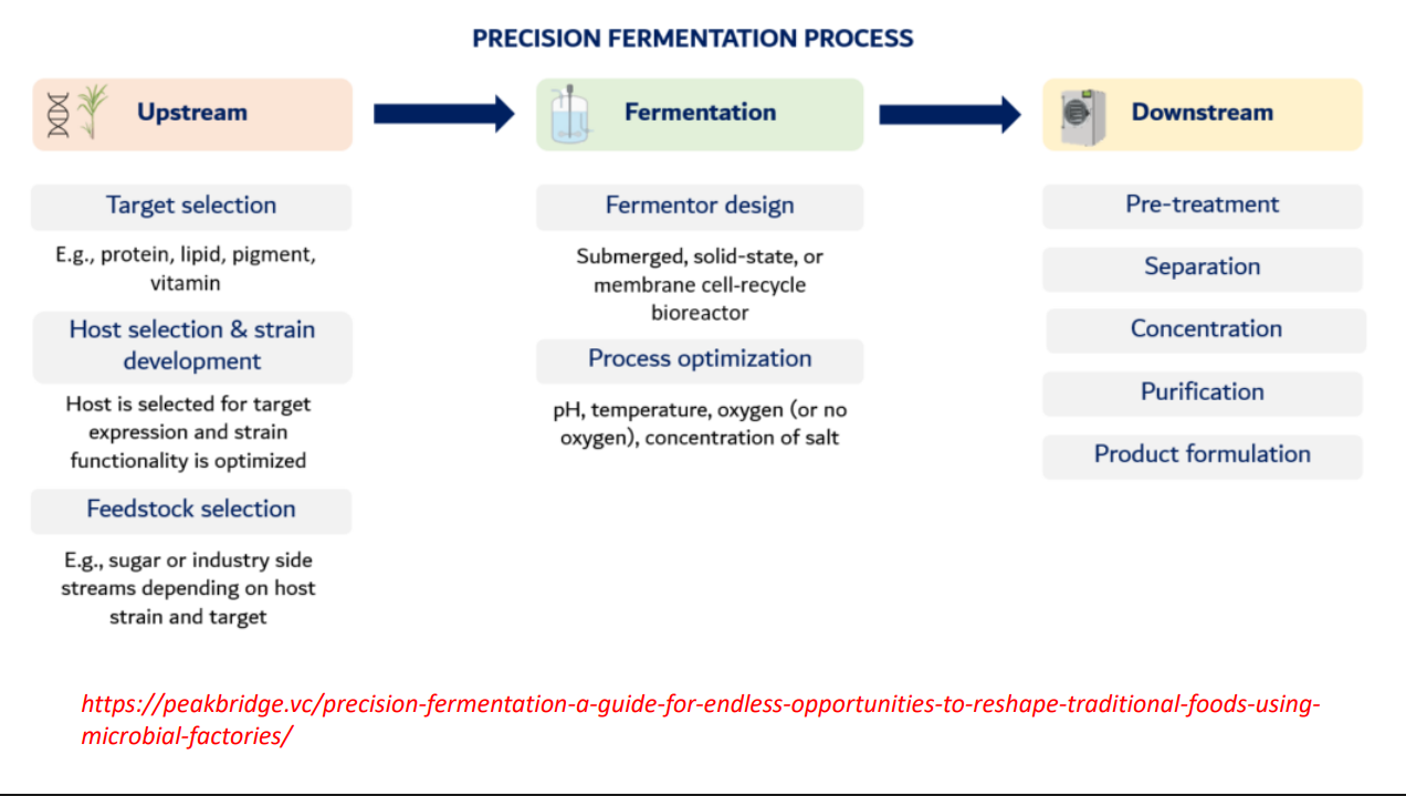 <p>Fermentor design </p><ul><li><p>Types:</p><ul><li><p>submerged (liquid, most common)</p></li><li><p>solid-state (for fungi)</p></li><li><p>membrane systems (retain cells, improve yield)</p></li></ul></li></ul><p><strong>Engineering goal:</strong></p><ul><li><p>Maximize:</p><ul><li><p>cell density</p></li><li><p>product formation rate</p></li></ul></li></ul><p></p>