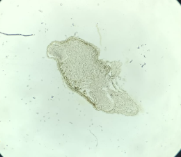 <p>What is this?</p>