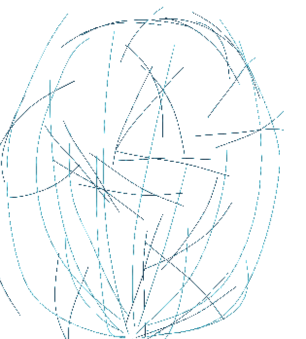 <p>Cytoskeleton</p>