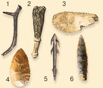 term image