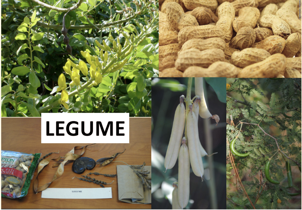 <p>What is this?</p>