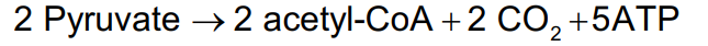 <p>Under aerobic conditions, </p><ul><li><p>two pyruvate enter the mitochondria and are oxidized to two acetyl-CoA, CO<sub>2</sub> , and two NADH </p></li><li><p>two NADH enter electron transport to provide five ATP</p></li></ul><p></p>