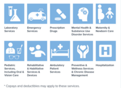 <p>Insurance MECs (10 essential health benefits) → 2014 Supreme court case Burwell v. Hobby Lobby Stores = "hobby lobby exemption"</p><p>Many people think mental health and substance use should not be covered</p><p>Also preventative and wellness services and chronic disease management </p><p>Concern about counseling related to safe sex</p><p>Prescription drugs - birth control pills </p><p>Some employers said it violates mission - don't want to support birth control drugs </p><p>They won - hobby lobby exemption</p>