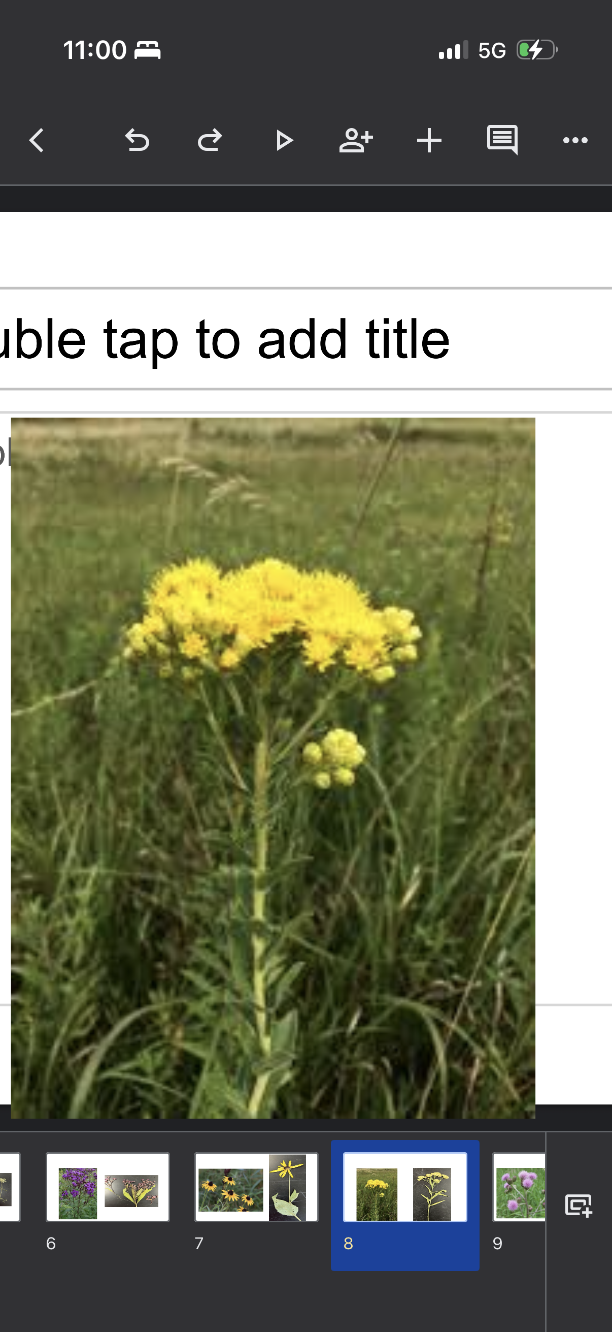knowt flashcard image