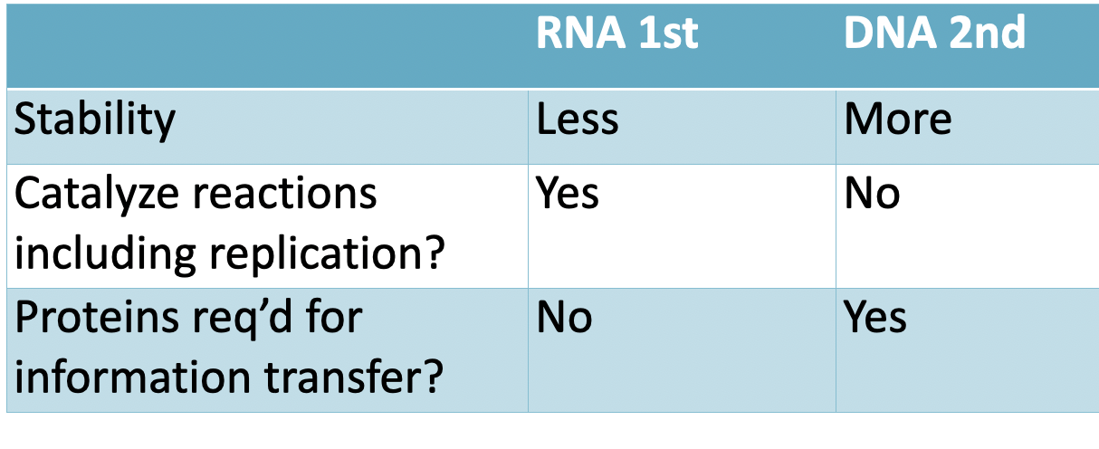 <p>RNA (Ribonucleic Acid) was the primary information storage and catalytic molecule used in early biological systems during the theorized RNA World hypothesis.</p><p></p><p></p>