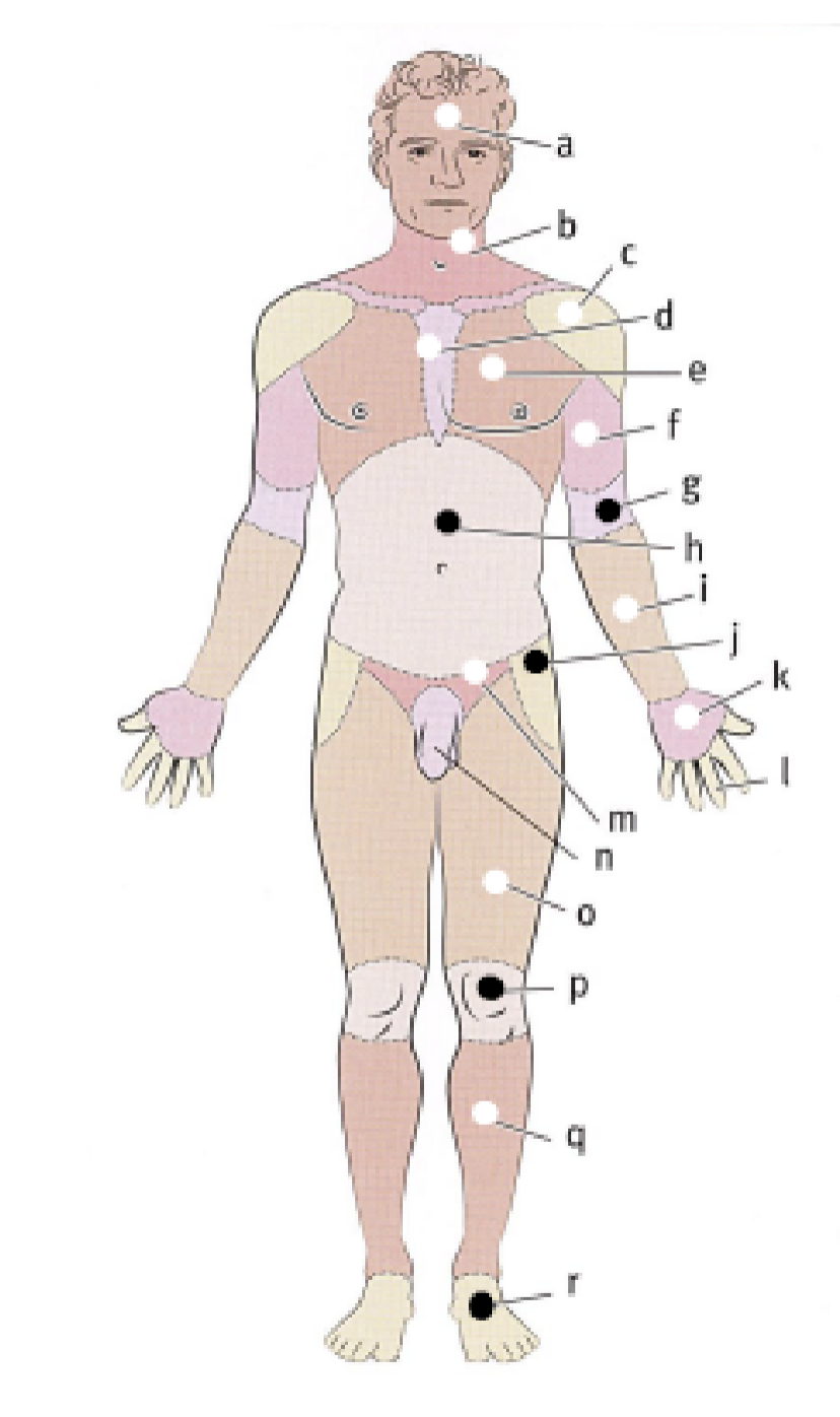 <p>C.</p>