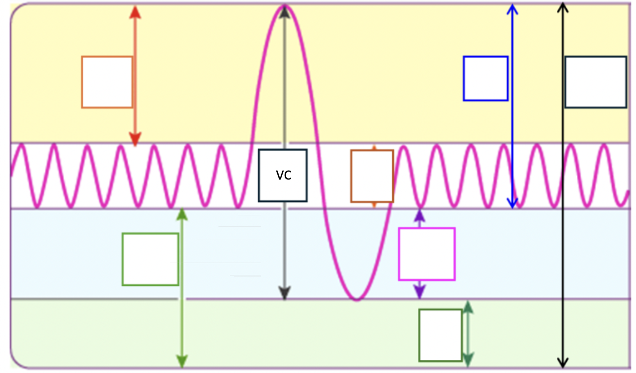 <p>Amount of air exhaled with max effort after max inspiration</p><p>Used to assess thoracic muscle strength and pulmonary function</p><p>ERV + TV + IRV</p>