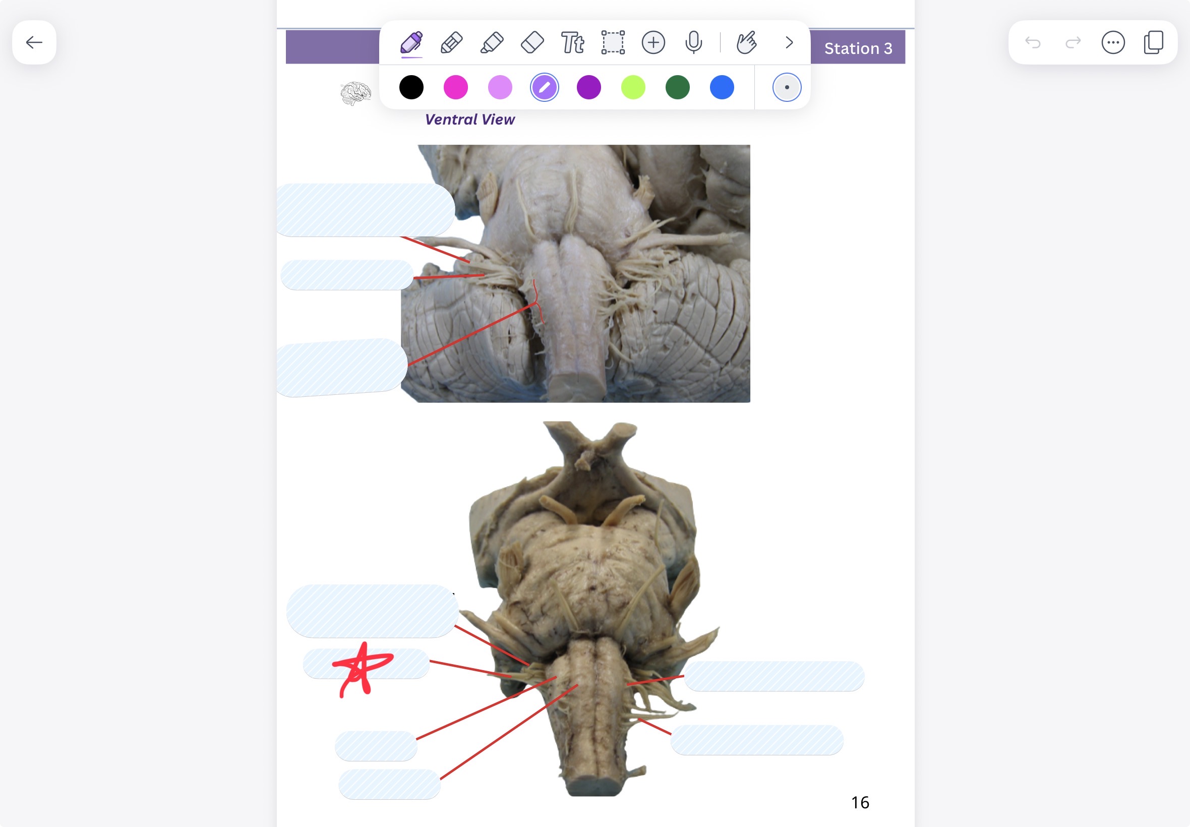 knowt flashcard image