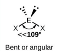<p>Bent or angular (SMALLER ANGLE 109)</p>