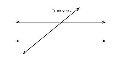 <p>Transversal</p>