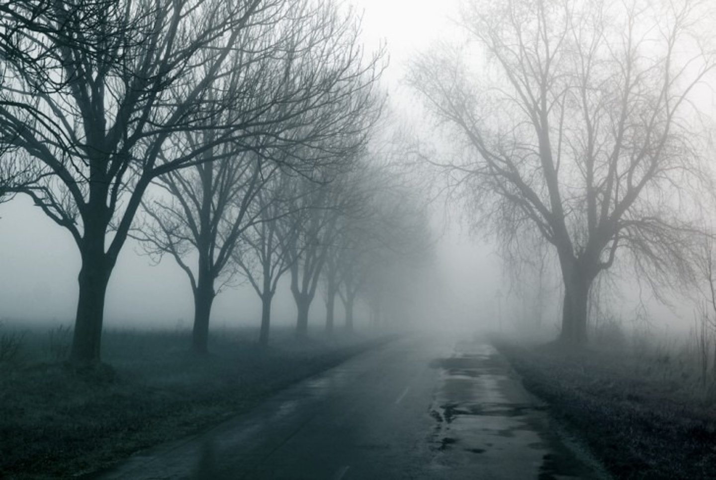 <p>fog</p>