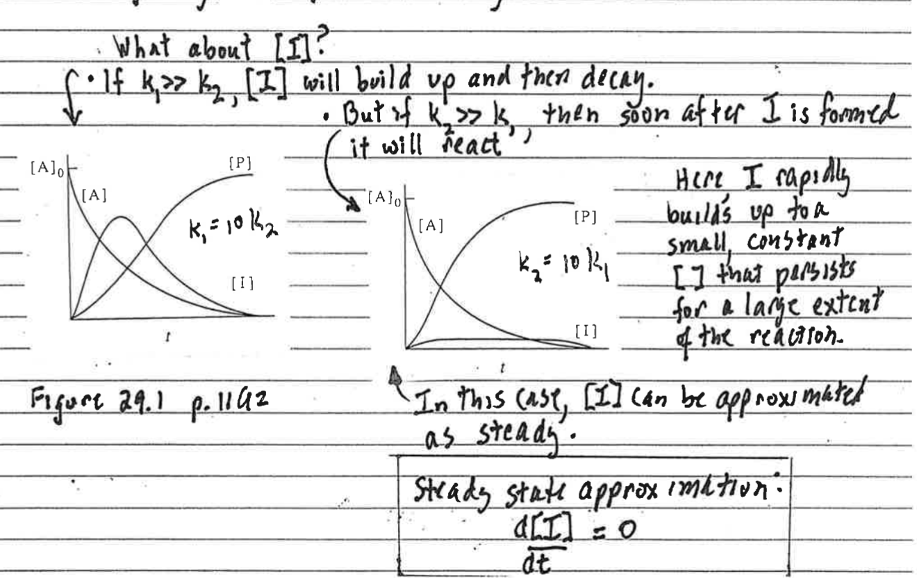 <ul><li><p>if k<sub>1 </sub>is much larger than k<sub>2</sub>, then the intermediate will build up and slowly be consumed</p><ul><li><p>SSA does not apply</p></li></ul></li><li><p>if k<sub>2 </sub>is much larger than k<sub>1</sub>, then the concentration of the intermediate will be roughly constant</p><ul><li><p>SSA does apply</p></li></ul></li></ul><p></p>