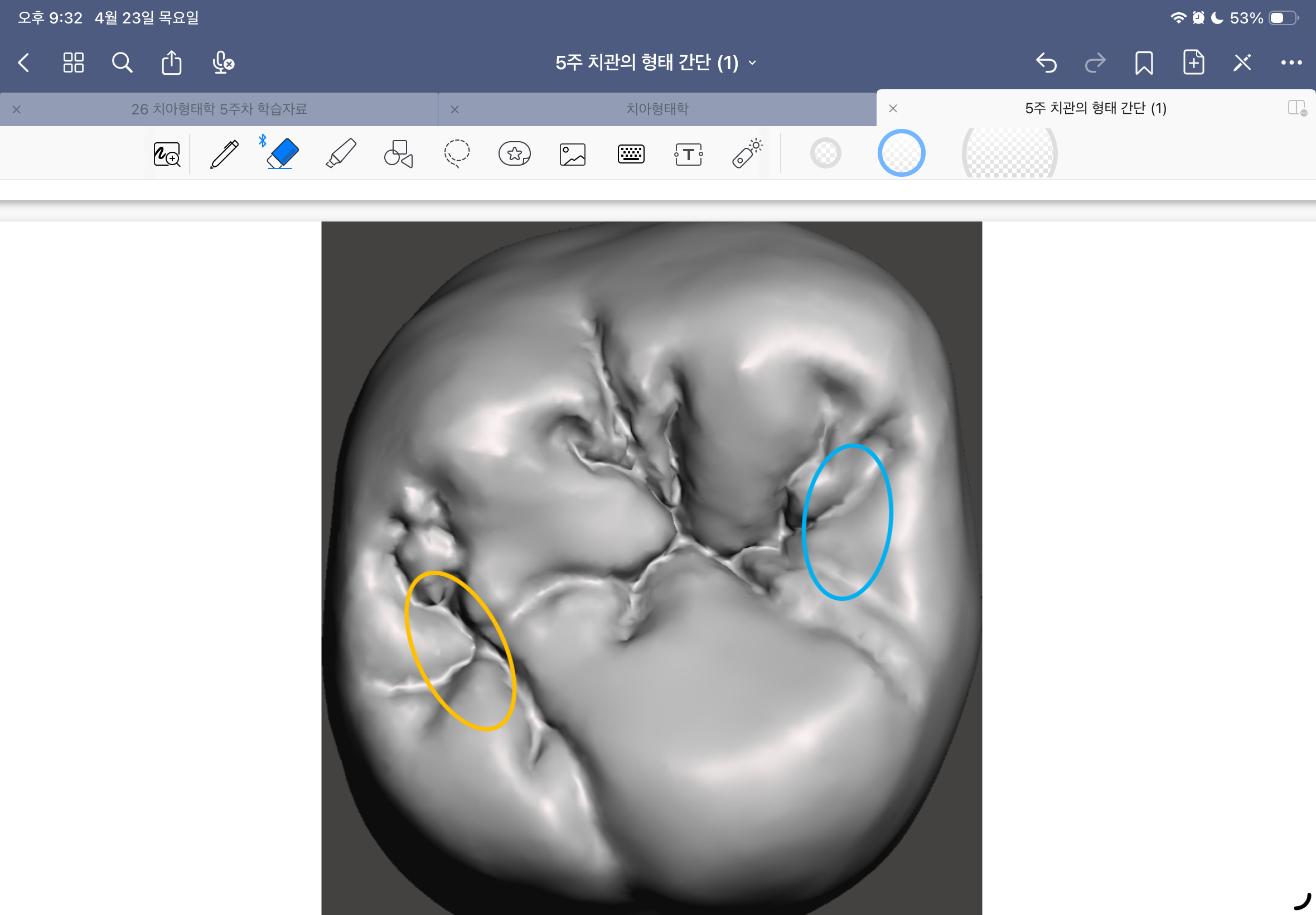 <p>노란색 와 이름 한글, 영문</p>