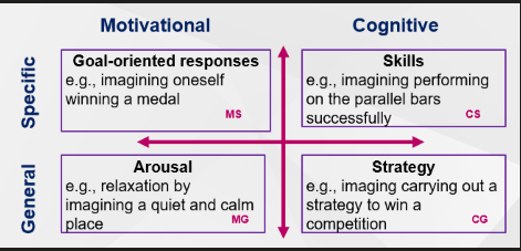 <ol><li><p> Motivational Specific (MS) </p></li></ol><p><strong>Motivational + Specific goal</strong></p><p>Focuses on imagining a <strong>particular achievement or outcome</strong>.</p><ol start="2"><li><p>Motivational General (MG) </p></li></ol><p><strong>Motivational + General emotional state</strong></p><p>Focuses on regulating emotions, confidence, and arousal rather than a specific outcome.</p><ol start="3"><li><p>Cognitive Specific (CS) </p></li></ol><p><strong>Cognitive + Specific skill</strong></p><p>Focuses on imagining the execution of a <strong>particular technique or movement</strong></p><ol start="4"><li><p>Cognitive General (CG) </p></li></ol><p><strong>Cognitive + General strategy</strong></p><p>Focuses on broader game plans, tactics, and decision-making.</p>