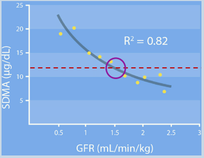 <p>• Symmetric dimethylarginine.</p><p>• A methylated amino acid produced alongside asymmetric dimethylarginine (ADMA) as a</p><p>biproduct of intranuclear methylation of regulatory proteins and subsequent proteolysis.</p><p>• SDMA is <span style="color: purple;">biologically inactive and excreted by the kidney</span>s.</p><p>• (ADMA is metabolised).</p><p>• Detectably raised when 25-40% reduction in GFR</p><p></p><p>SDMA is just cell waste, that’s it. </p><p>It’s only exit is through the kidney filtered.</p><p>It’s a great marker because urea and creatinien couldnt catch kidney damage until 75% of kidney is already destroyed, it’s more sensitive at detecting kidney damage- only at 25%</p>