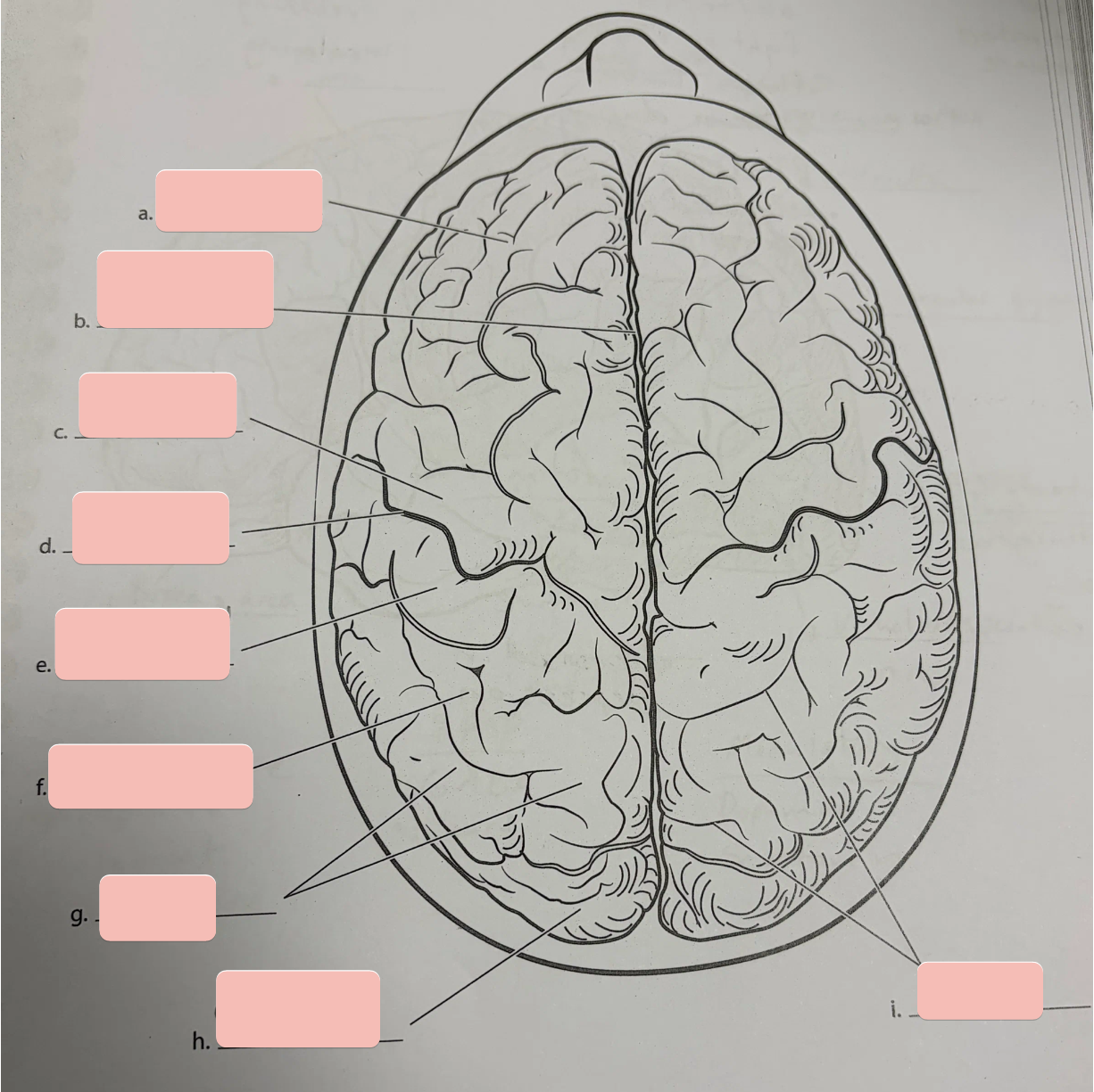 <p>Structure H</p>