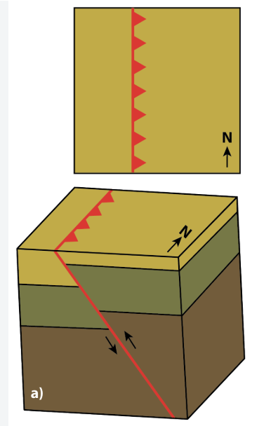 <p>triangles</p>