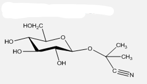<ul><li><p>classe</p></li><li><p>nome</p></li><li><p>percursos</p></li><li><p>planta</p></li><li><p>parte da planta</p></li></ul><p></p>