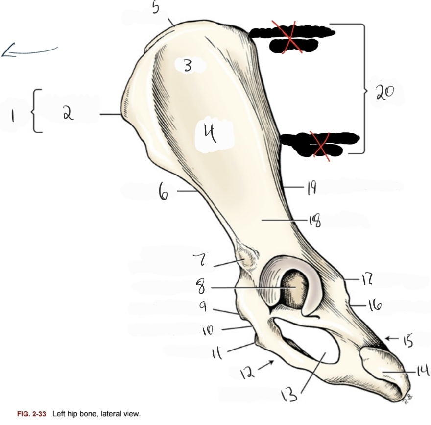 <p>11</p>