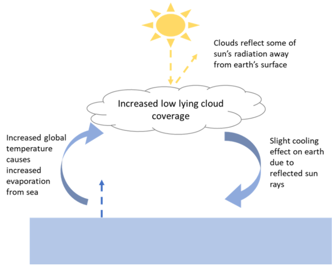 <p>The negative feedback loop between global warming and low lying clouds:</p>