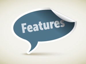 <p>feature (n) <span>/ˈfiːtʃə(r)/</span></p>