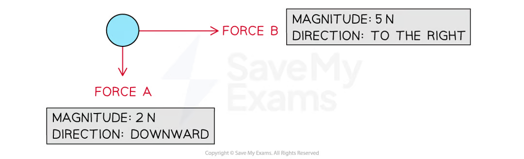 <ul><li><p>length: magnitude</p></li><li><p>direction: direction</p></li><li><p>scale: proportional to relative magnitudes of forces</p></li><li><p>labelled with force name/description</p></li><li><p>describe angle with respect to vertical or horizontal</p></li></ul><p></p>