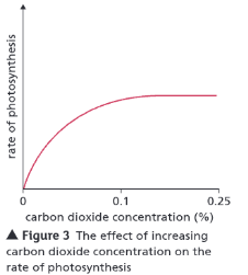 <p>Why does this graph of carbon dioxide concentration against the rate of photosynthesis level off?</p>