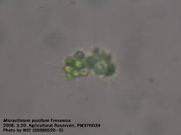 <p>Identify</p>
