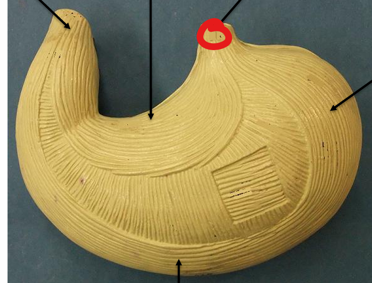 <p>what is this structure </p>