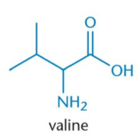 <p>Val, V</p><p>Nonpolar</p>