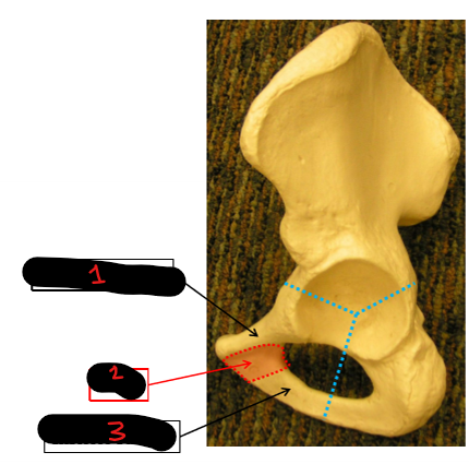 <p>1</p>