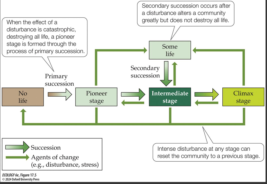 <p>Primary vs Secondary Succession</p>