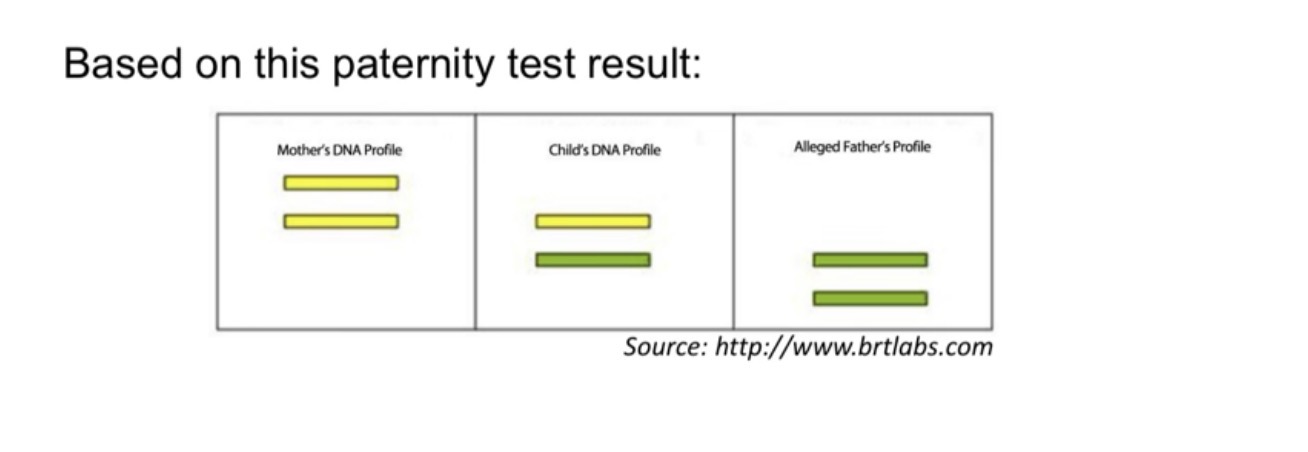 <p>based on this paternity test result:</p>